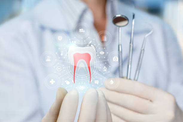 Best Preventive Dentistry  in Troy, IL